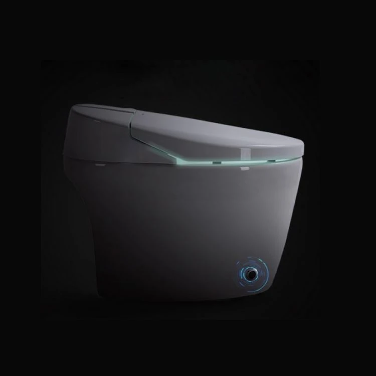 Smart Toilet Bidet