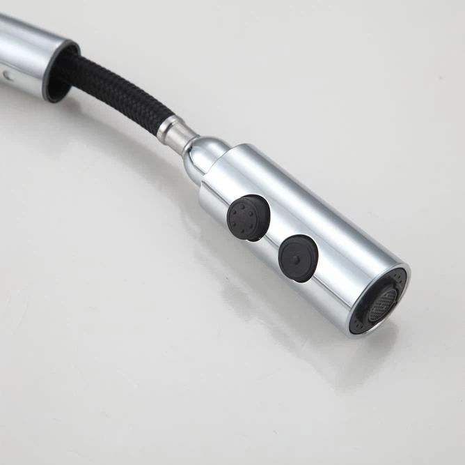 Commercial Style Pull Down Kitchen Faucet