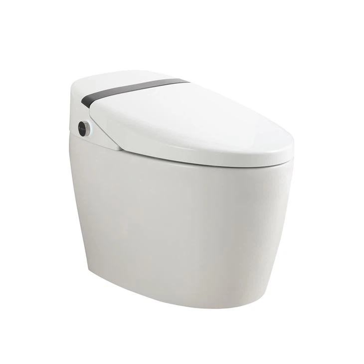 Smart toalett bidet
