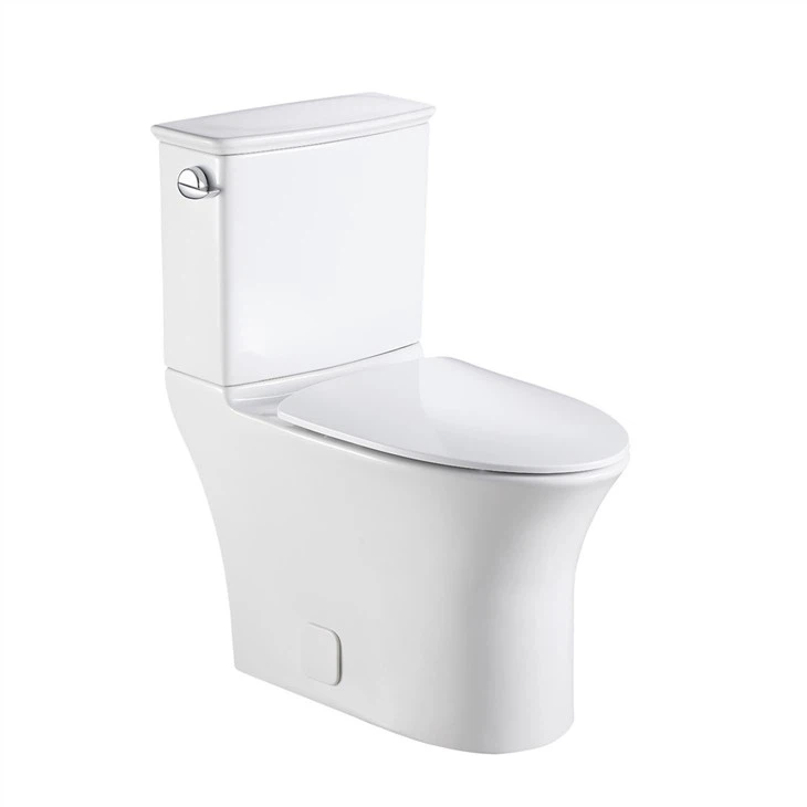 dual flush toilet system