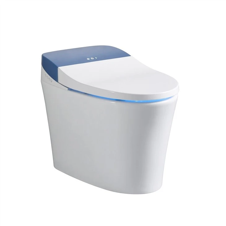 Intelligent self-cleaning toilet