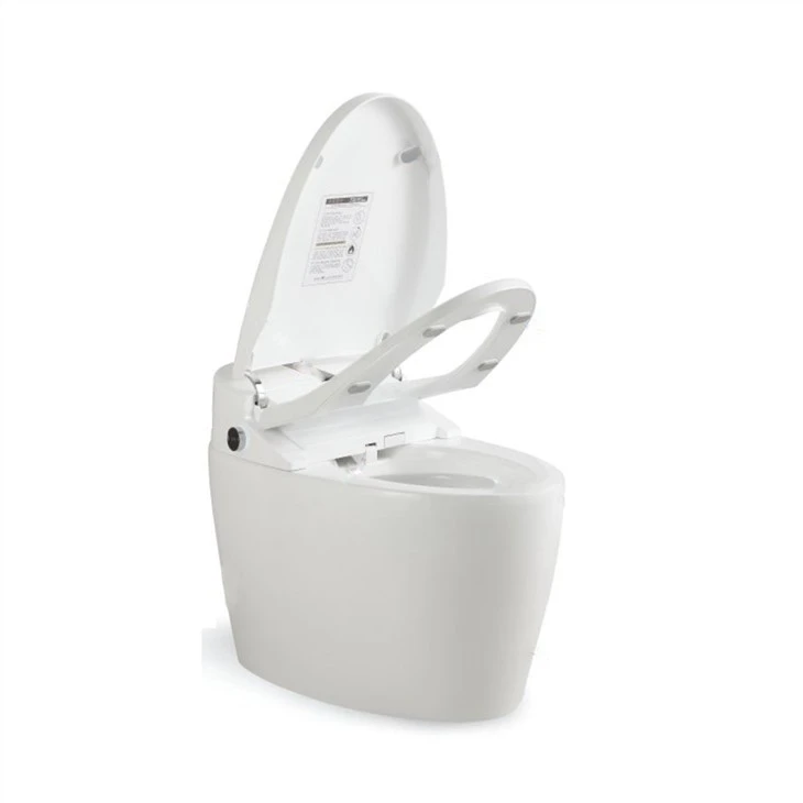 self cleaning smart bidet toilet