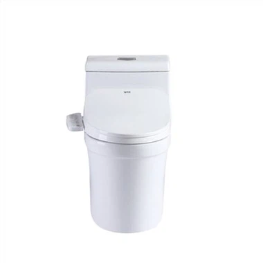 Intelligent Bidet toalettsete