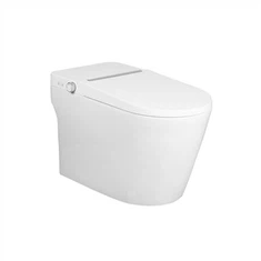 Ett stykke intelligent toalett